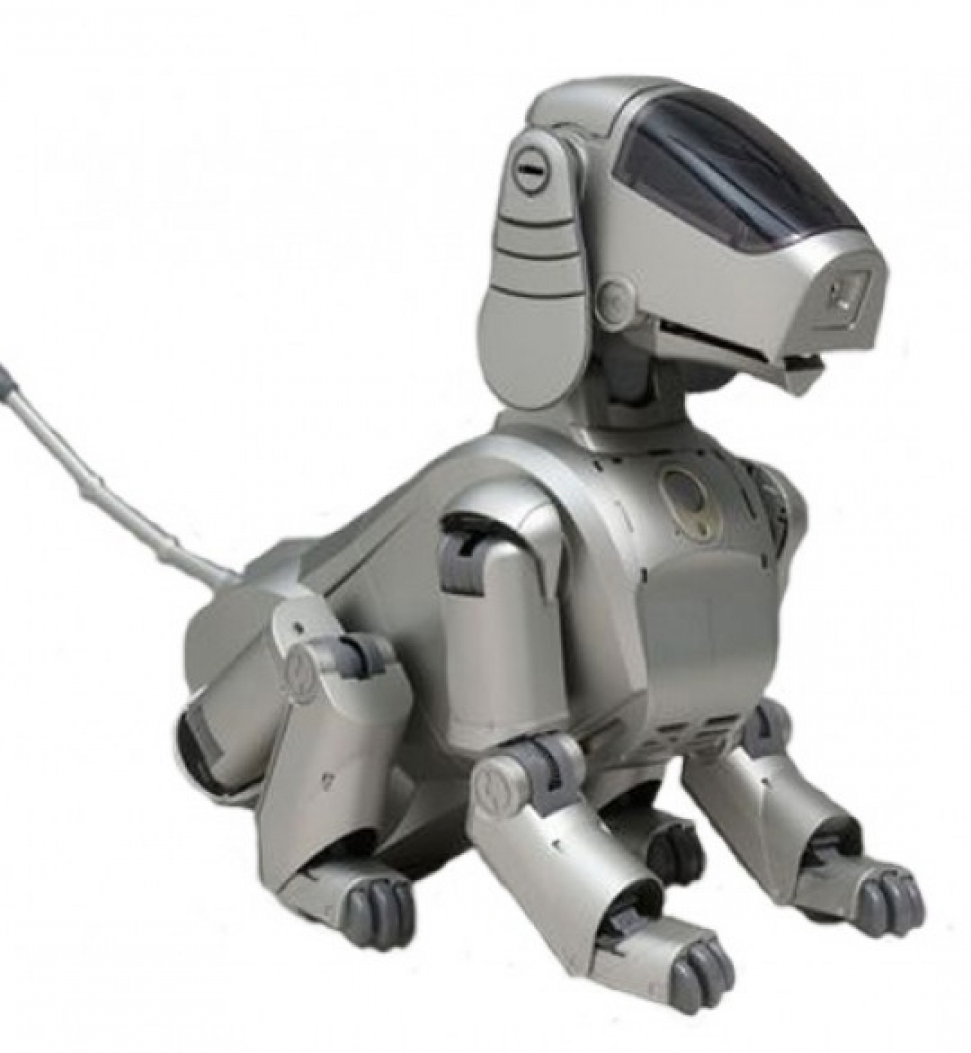 The Sony Aibo ERS-110