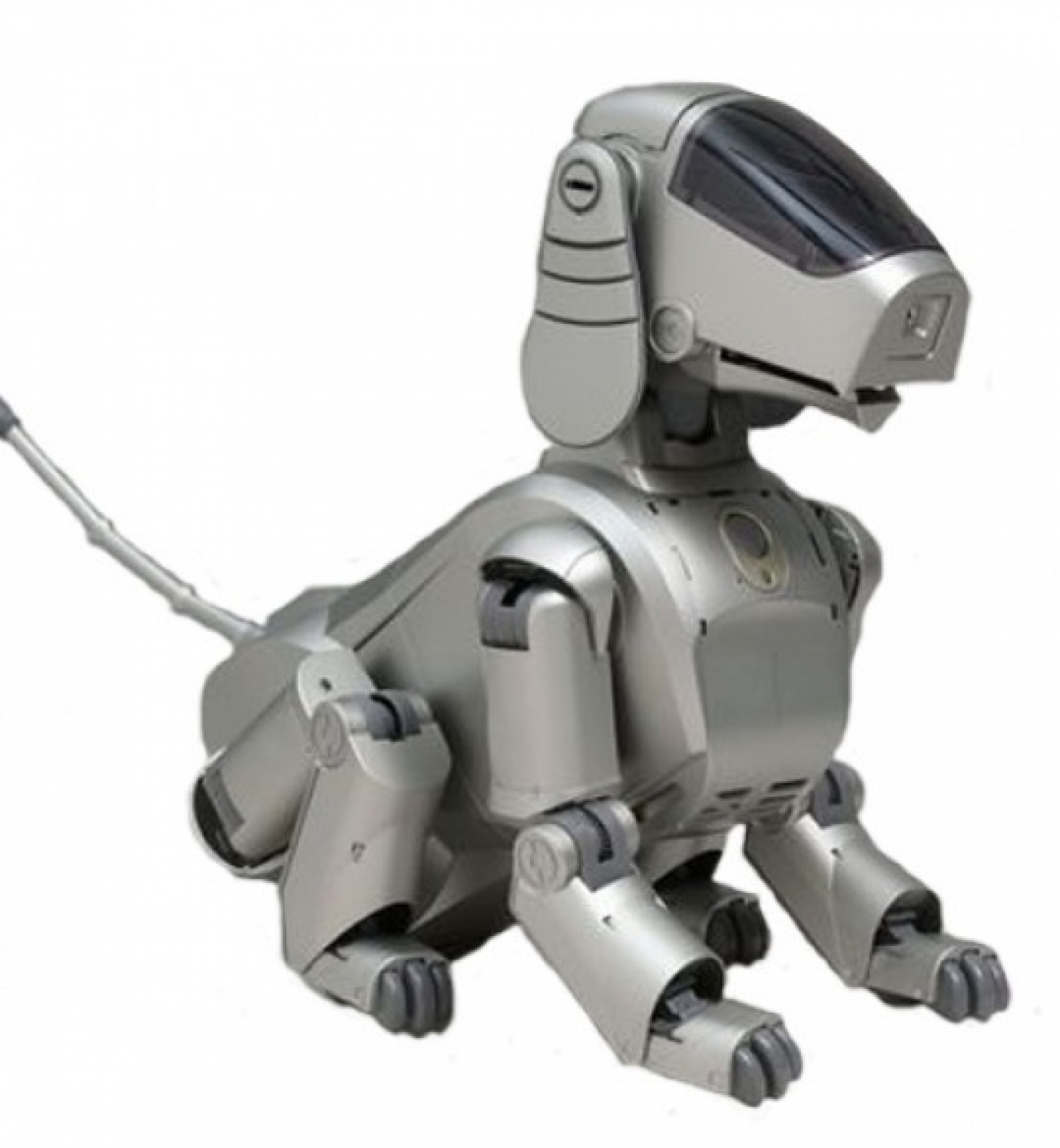 The Sony Aibo ERS-110